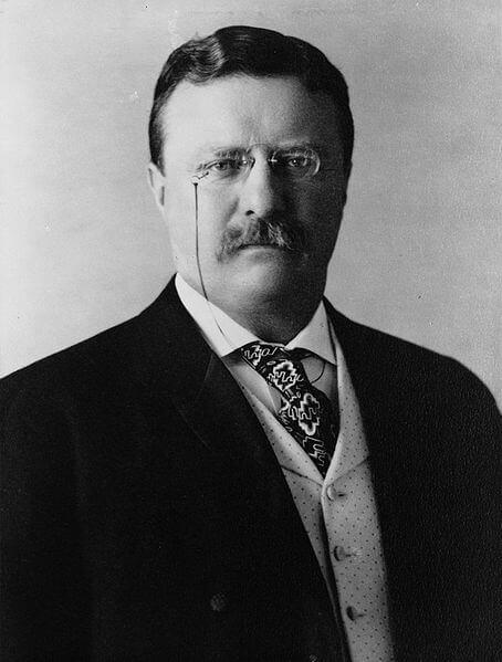 Theodore Roosevelt, often referred to as Teddy Roosevelt, was an American statesman, politician, conservationist, naturalist, and writer, who served as the 26th president of the United States from 1901 to 1909. He was an eccentric extrovert who loved to be the center of attention. He even got a black eye while boxing in the White House. Do you remember hearing about, or learning about Teddy boxing a kangaroo?