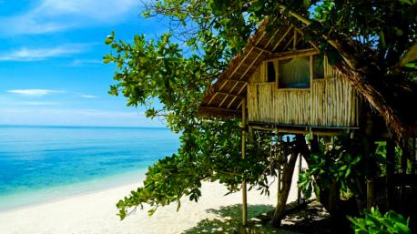 Would you live on a deserted island for 1 month in exchange for 1 million dollars?