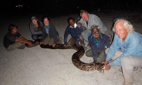 As of January 27, Sadaiyan and Gopal have already caught 15 snakes, according to Florida Wildlife Conservation Commission. 15 snakes are only a small fraction of the python population, but it's pretty great compared to other approaches. For comparison, about 1,000 hunters took part in last year's Python Challenge. After a month, they had only bagged 106 snakes. So two guys with tire irons catching 14 in two weeks is pretty great. Is this something you would be interested in doing for a job?