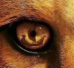 UpstateSC profile photo