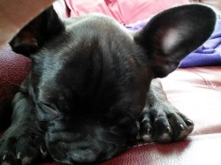 huggabutt profile photo