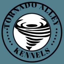 AliciaJo profile photo