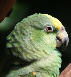 Rozebudzcat profile photo