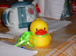 annlittle profile photo