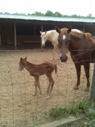 cabinlady77 profile photo