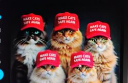 cyberrat123 profile photo