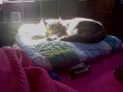 swimmer18 profile photo