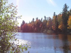 MickeyP1229 profile photo