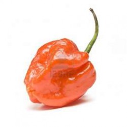 onehotpepper profile photo