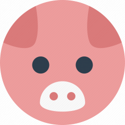 fiddlergirl64 profile photo