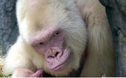 tjm024 profile photo