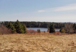 Billie75 profile photo