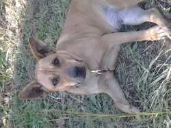 butterfly82 profile photo