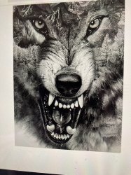 bigbadwolf profile photo