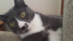 capt_coaldale profile photo