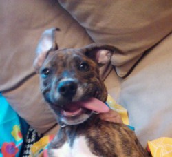 blackdebbie profile photo