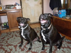 juliejamron profile photo