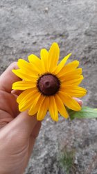 vrmaiago profile photo