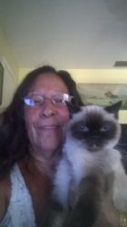 drmouse profile photo
