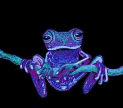 mississippimamma2012 profile photo