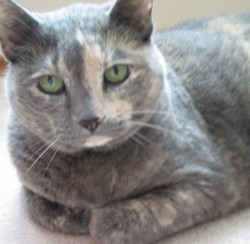 PrairieGirl profile photo