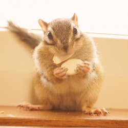 stars217 profile photo