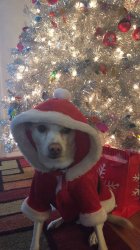 Sharron2911 profile photo