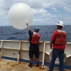 d1deleonrn profile photo