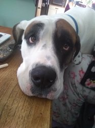 crwooster profile photo