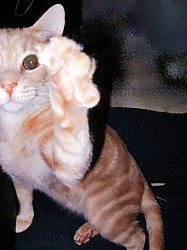 Mystiblue77 profile photo