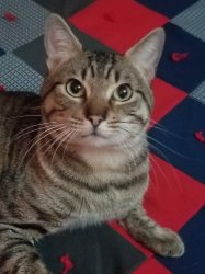 melshouse profile photo