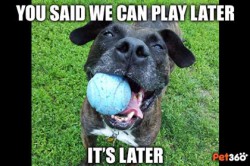 sunnydaysahead profile photo