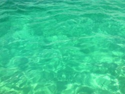 Danforth6 profile photo