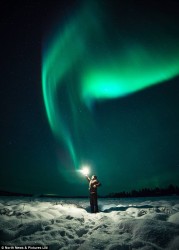 wiltedviolet profile photo