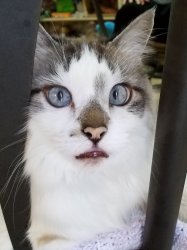 linderlucy profile photo