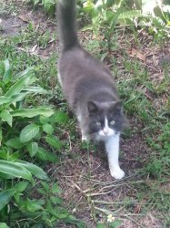 trek17 profile photo