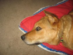 bookiej profile photo