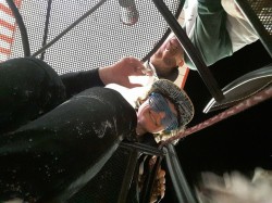 zcheeze33 profile photo