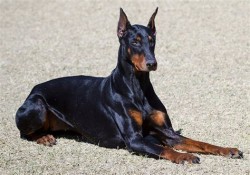 brat1111 profile photo