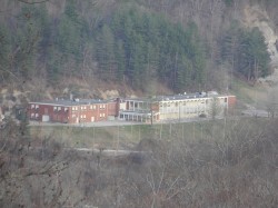 thevertman1 profile photo