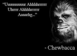 wardude profile photo