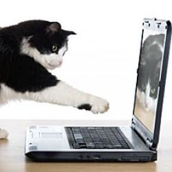 TwistedX3 profile photo