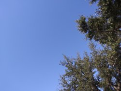 arnelll123 profile photo