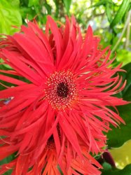 kiznee profile photo