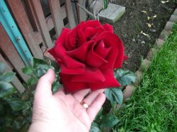 mgariley1969 profile photo