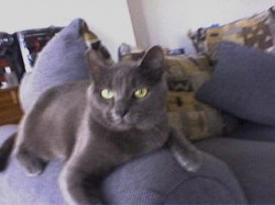 MariaSA profile photo