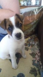 LSD209 profile photo