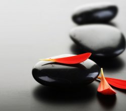 drive_youells profile photo