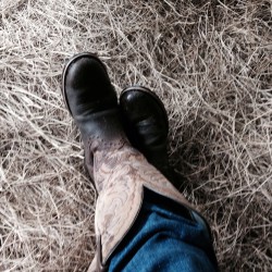 SunshineCowgirl84 profile photo