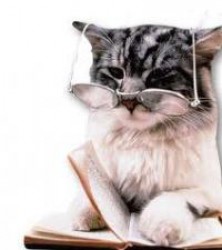 Beckert profile photo